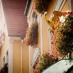 Ξενοδοχείο Restaurant Adler 4*