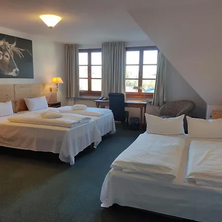 Hotel Restaurant Adler 4*