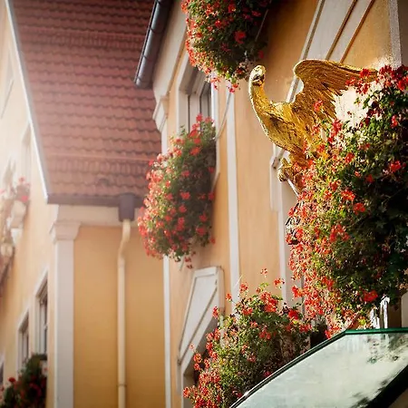 Hotel Restaurant Adler 4*